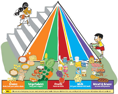 Food Pyramid 